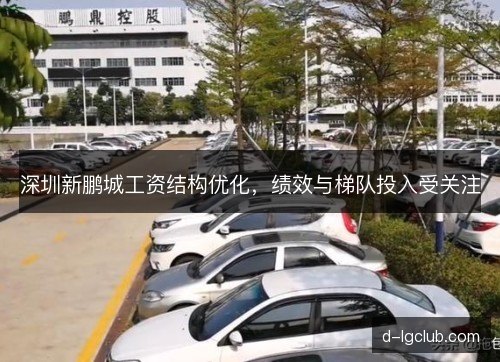 深圳新鹏城工资结构优化，绩效与梯队投入受关注